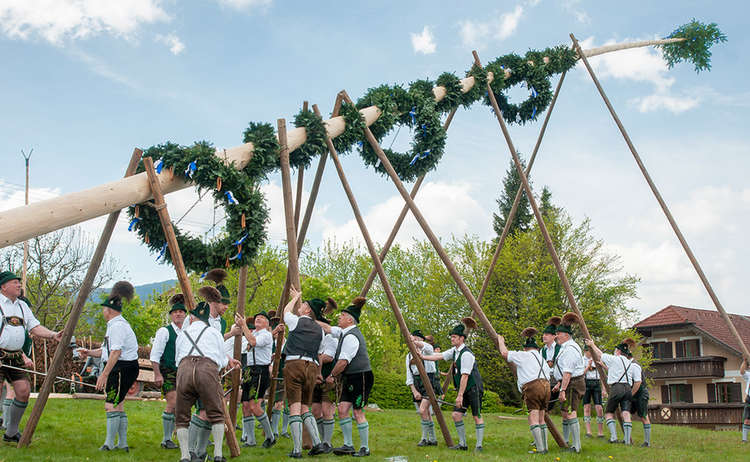 Maibaum Aufstellen in Anger